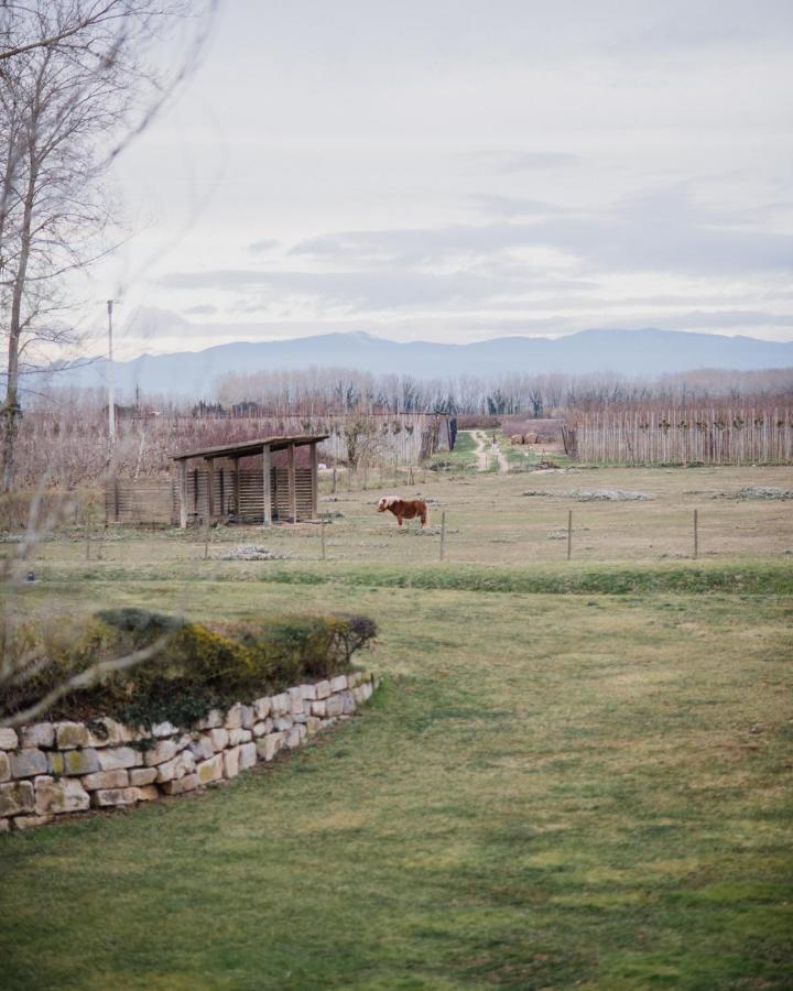 Cuna House L'Armentera Dış mekan fotoğraf